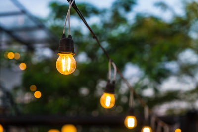 Garden Lighting for Evening Parties