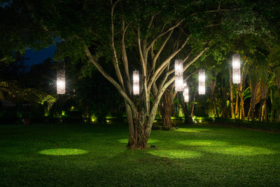 Creative Garden Lighting Ideas for 2025