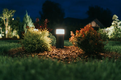 Eco-Friendly Lighting Solutions That Are Perfect for Your Garden