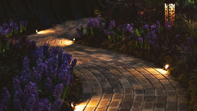 Achieving Functional Elegance with Contemporary Garden Lighting