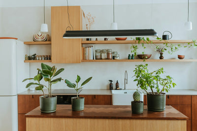 Indoor Plant Décor: A Comprehensive Guide to Styling Your Home with Lush Greenery