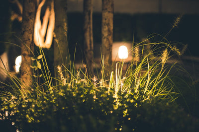 Transform Your Outdoor Space with Creative Garden Lightings