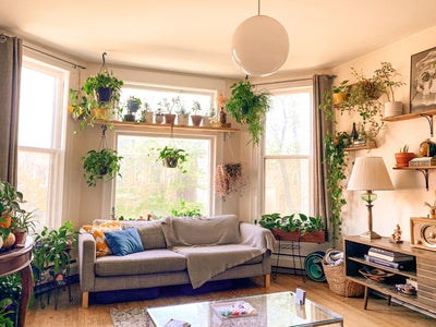 Discover Biophilic Home Design: Expert Tips for a Nature-Inspired Living Space