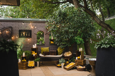 The Art of Outdoor Entertaining: Tips and Ideas for Creating an Enviable Rustic Outdoor Living Space