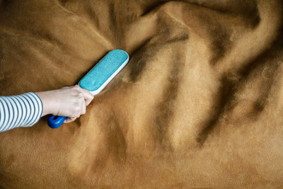 Removing Pet Hair from Your Round Armchair