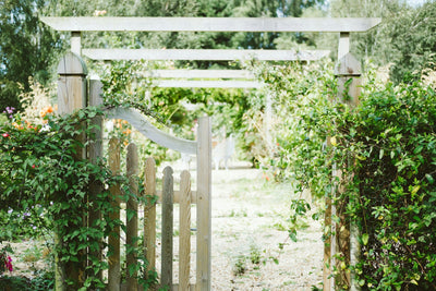 Rustic Garden Design: Creating an Enchanting Outdoor Oasis