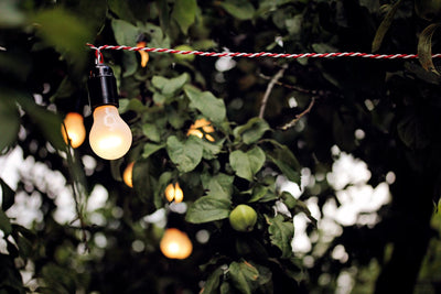 Best Garden Lighting Ideas