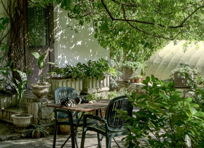 Rustic Outdoor Spaces: Designing a Tranquil and Relaxing Garden Oasis