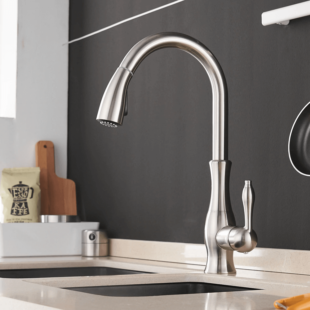 Kitchen Faucet With Pull Out Spout